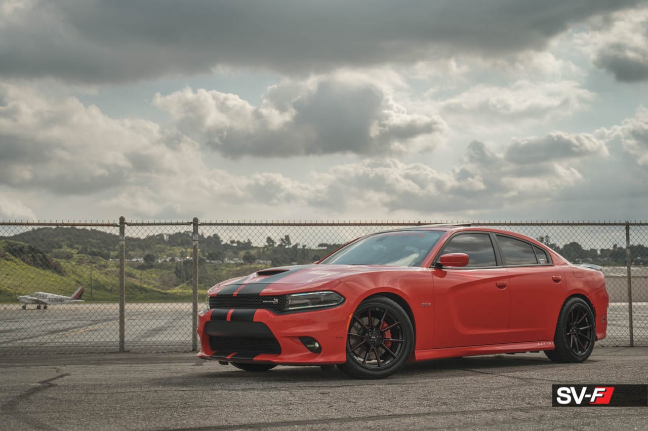 DODGE CHARGER on Savini forged wheels
